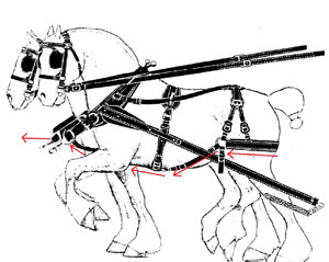 filed or plow harness