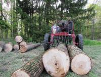 loggers for hire