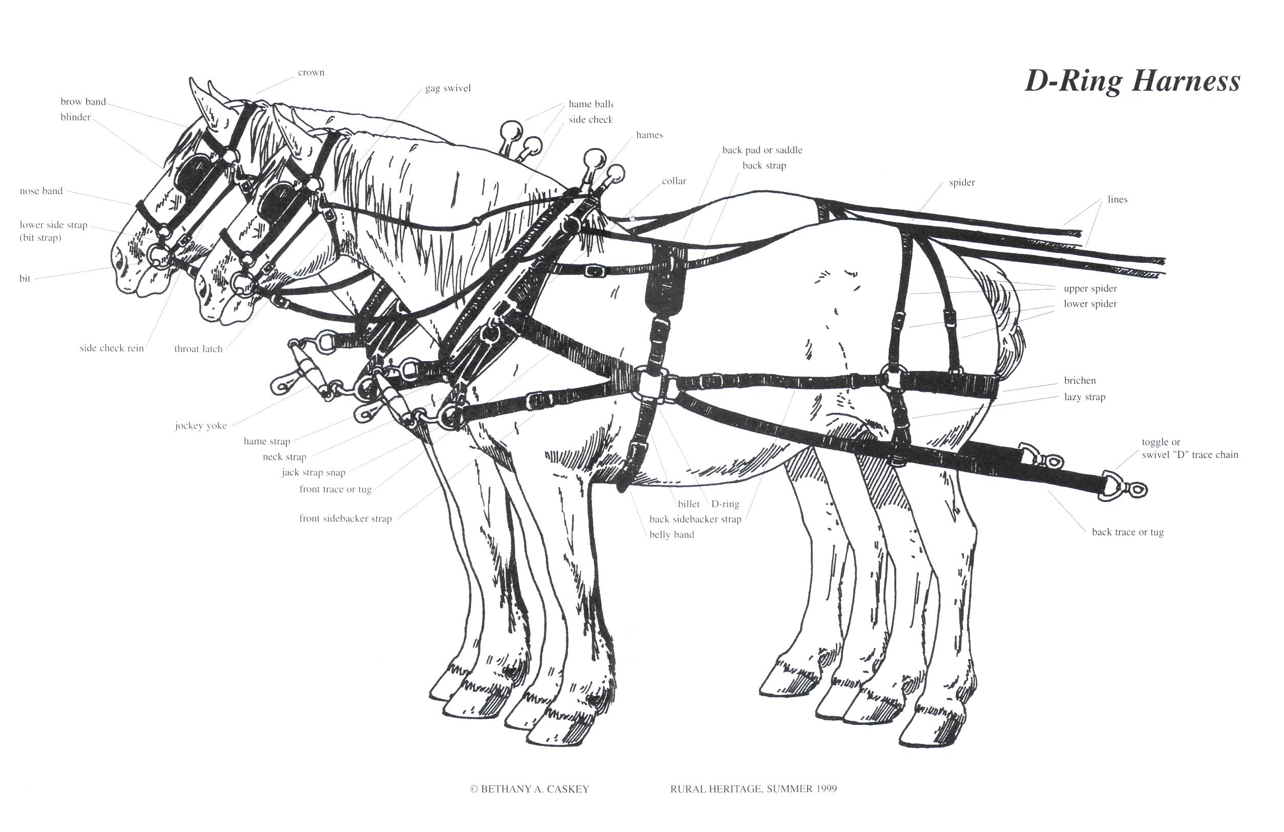 Rural Heritage - Front Porch mule harness parts diagram 