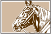 horse generic profile image