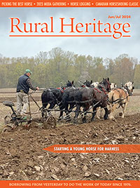 most recent issue cover image