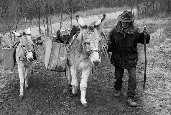packing with donkeys
