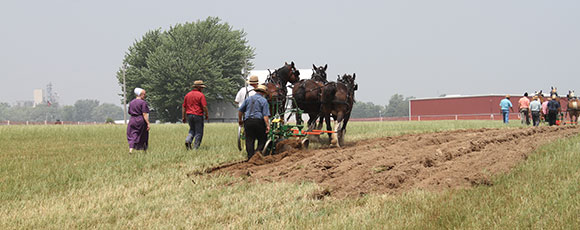 plowing with horses