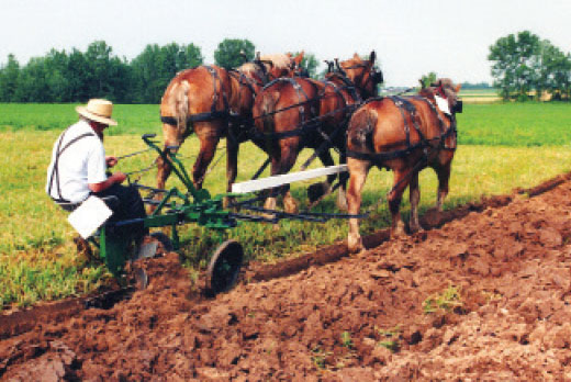 plowing rye cover crop
