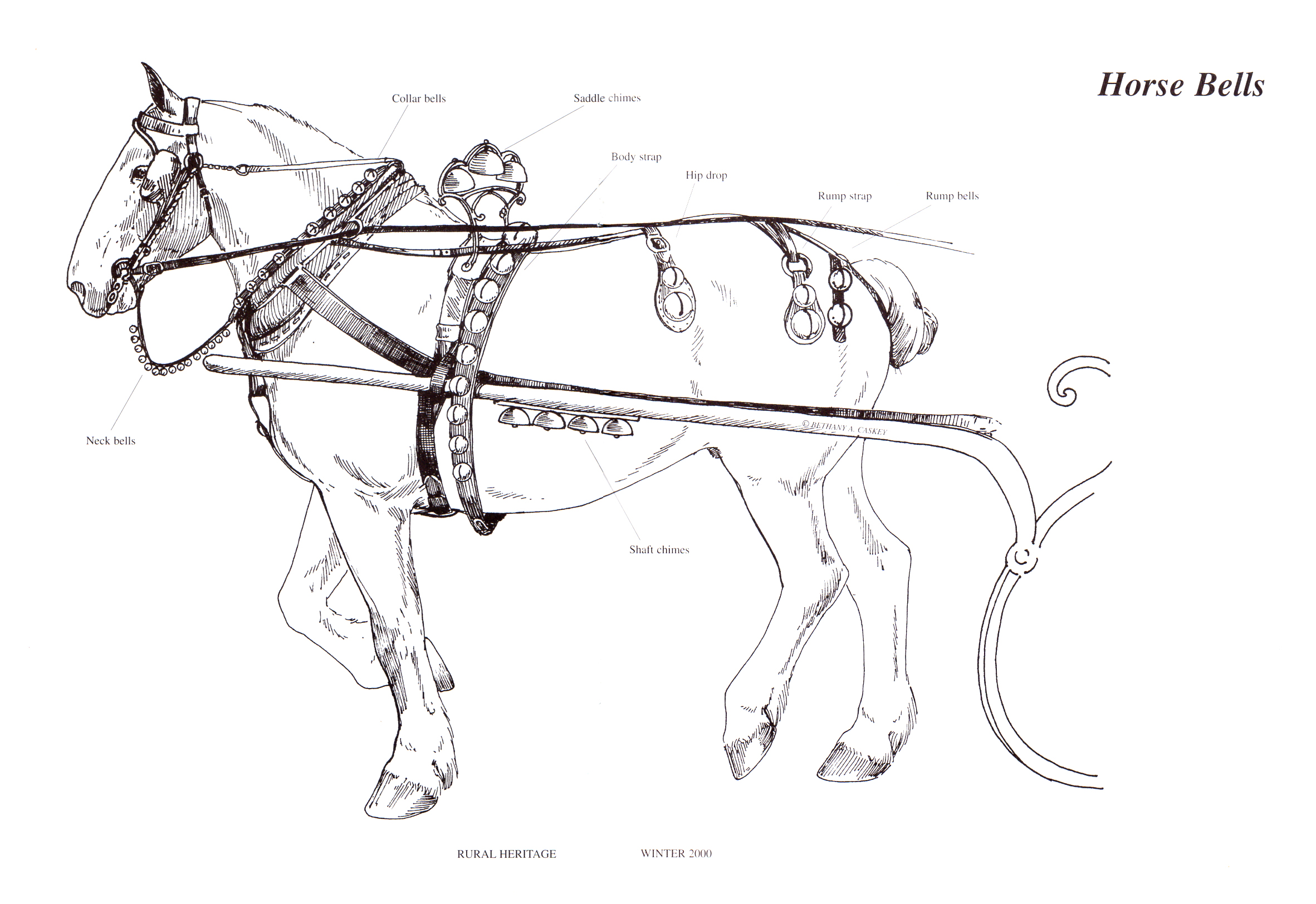 horse bells illustrations