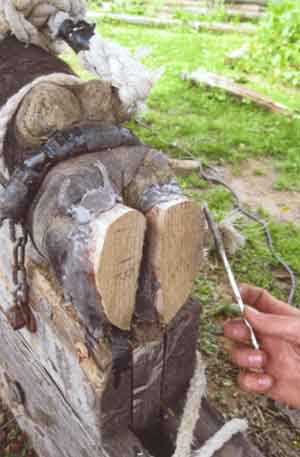 glueing wooden oxen shoes