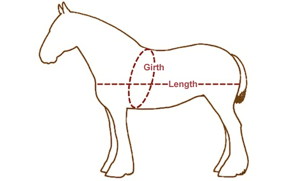 draft horse weight calculation